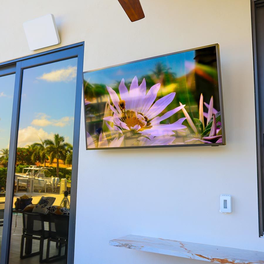 Outdoor television mounted on a wall displaying a vibrant flower image with palm trees in the background.